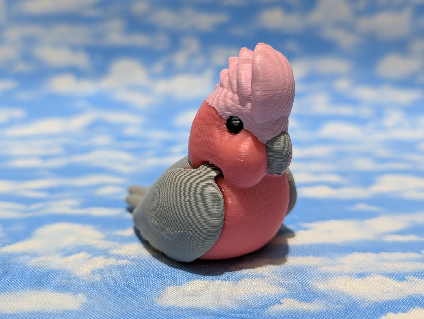 Pink and Grey Galah
