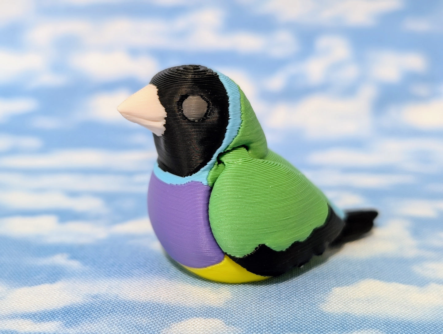 Gouldian finch