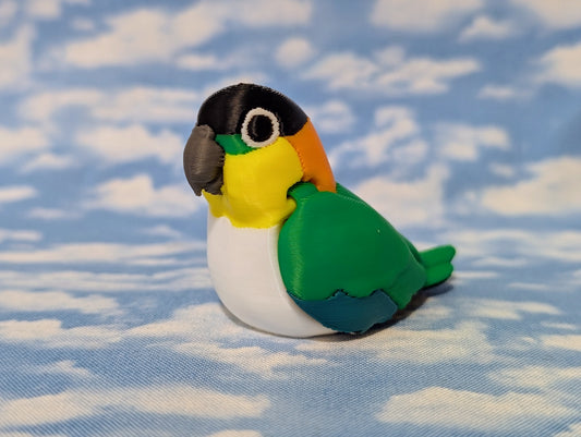 Caique