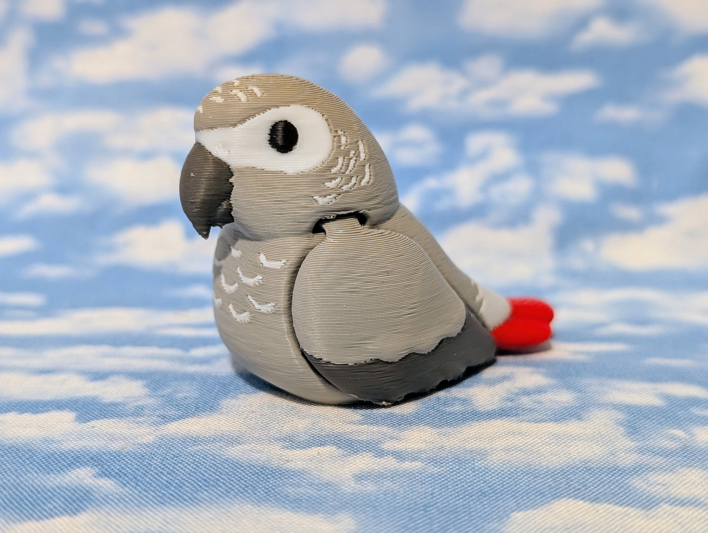 African grey parrot