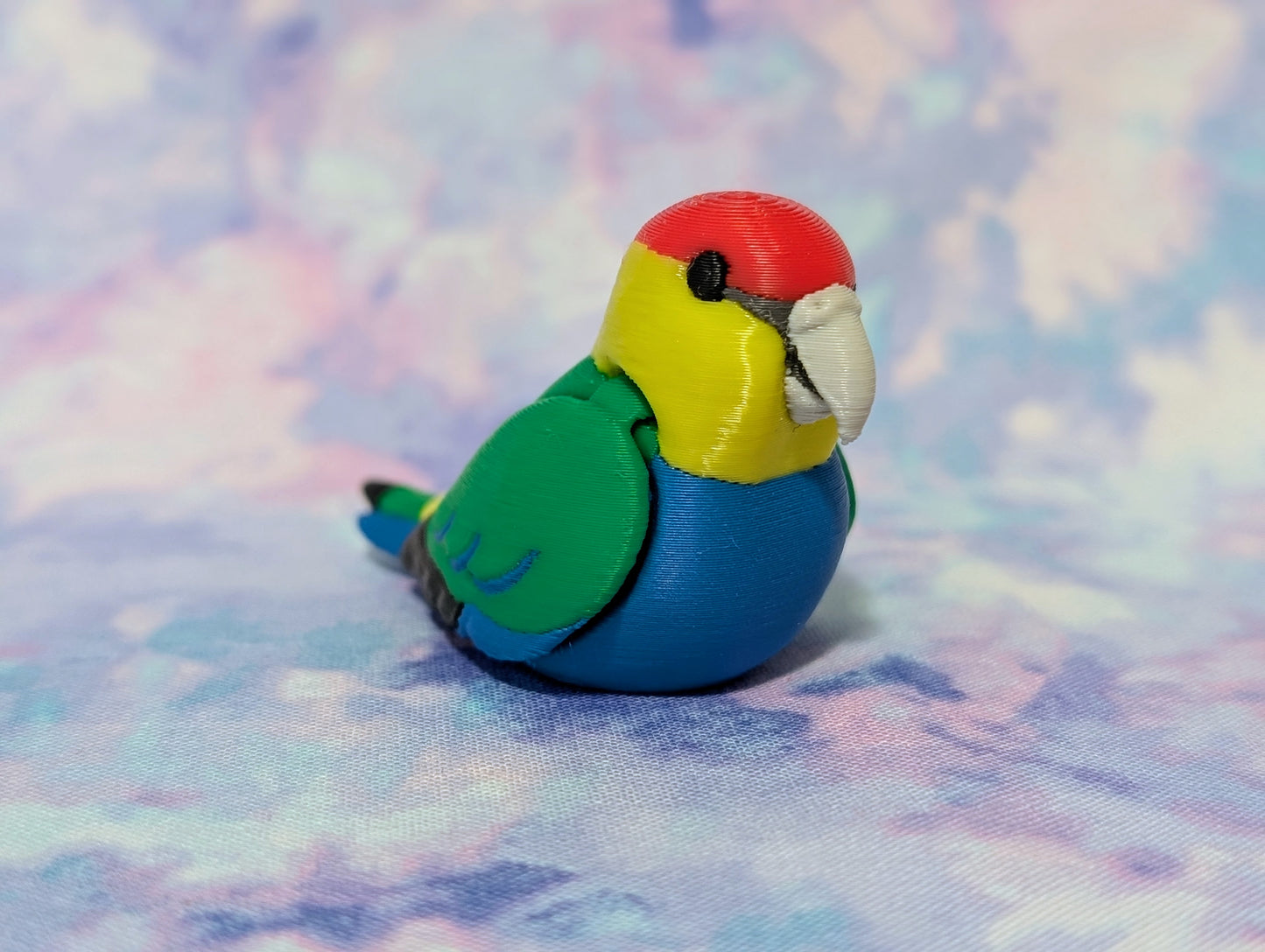 Red capped parrot
