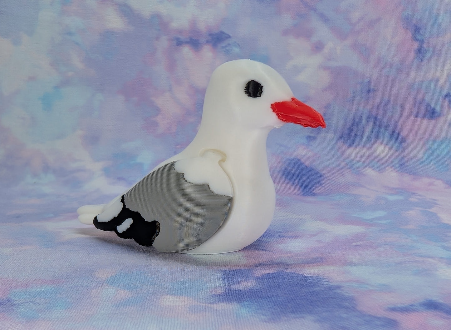 Silver gull (Australian seagull)