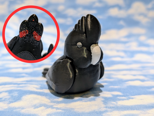 Red Tailed Black Cockatoo