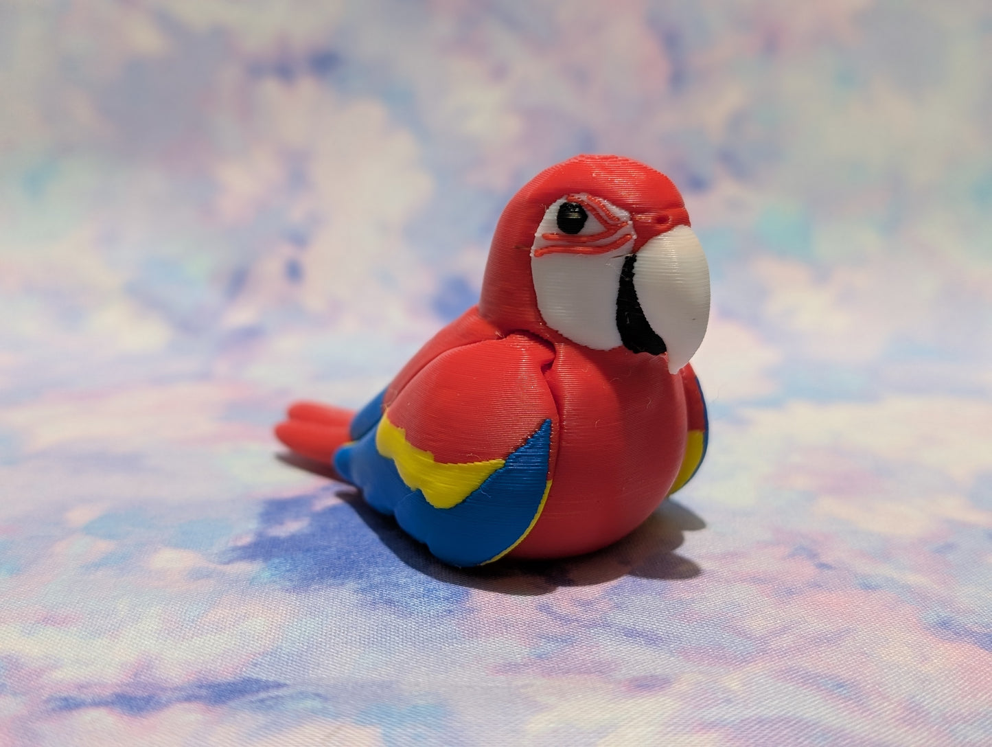 Macaw