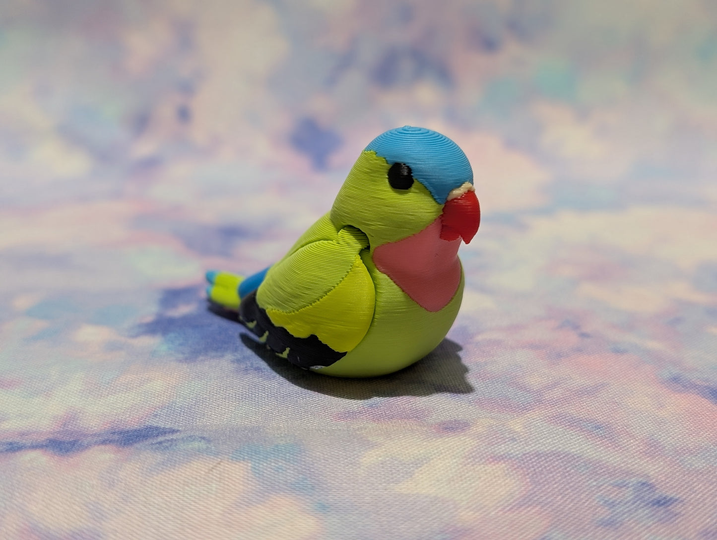 Princess parrot