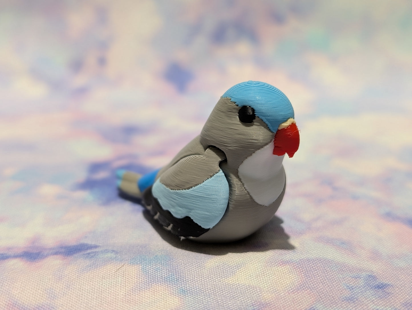 Princess parrot