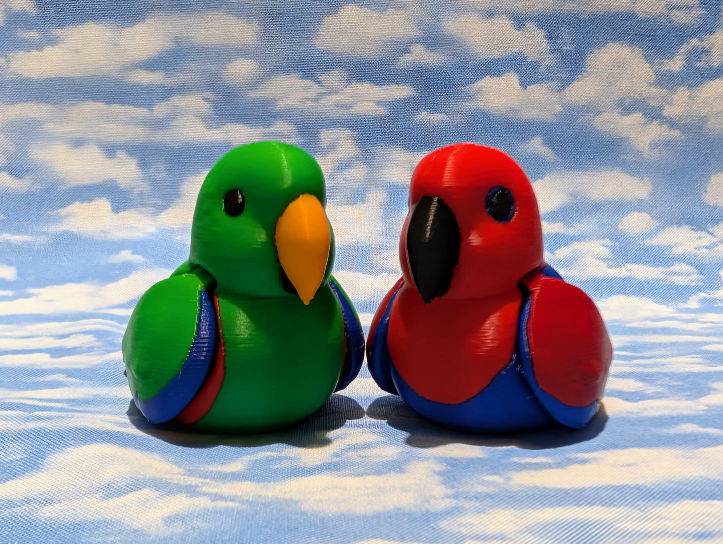 Eclectus Parrot