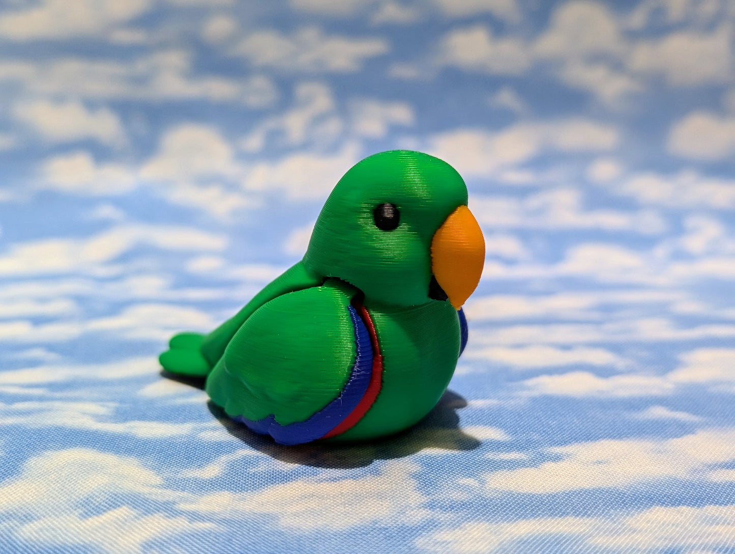 Eclectus Parrot