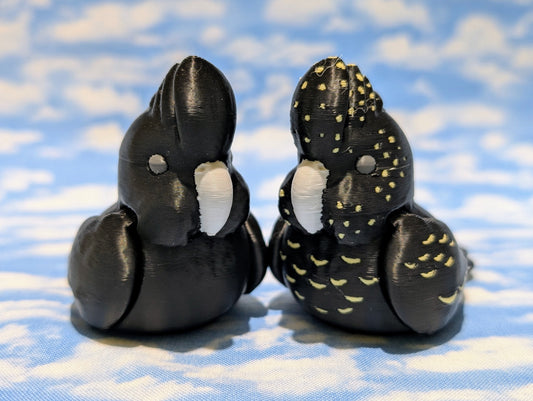 Red Tailed Black Cockatoo