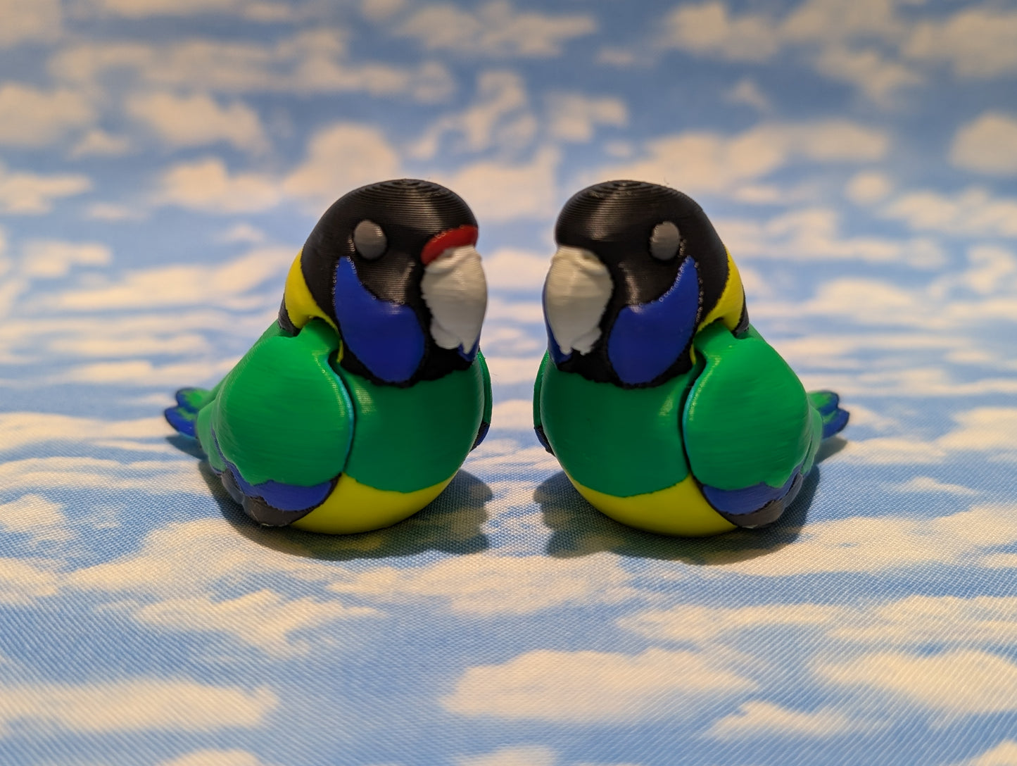 28 Parrot (Australian ringneck)