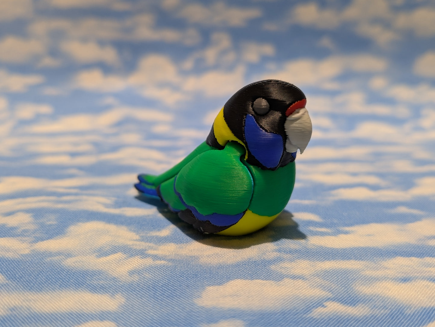 28 Parrot (Australian ringneck)