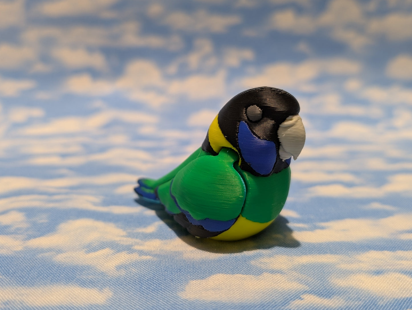 28 Parrot (Australian ringneck)