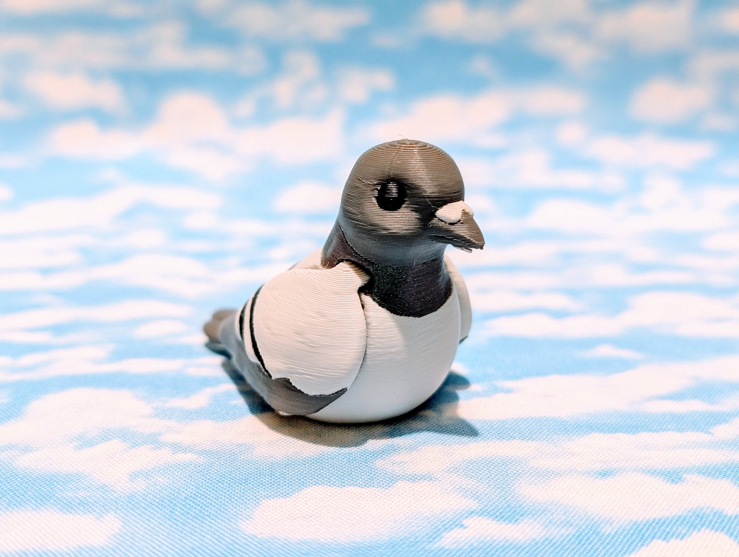 Pigeon