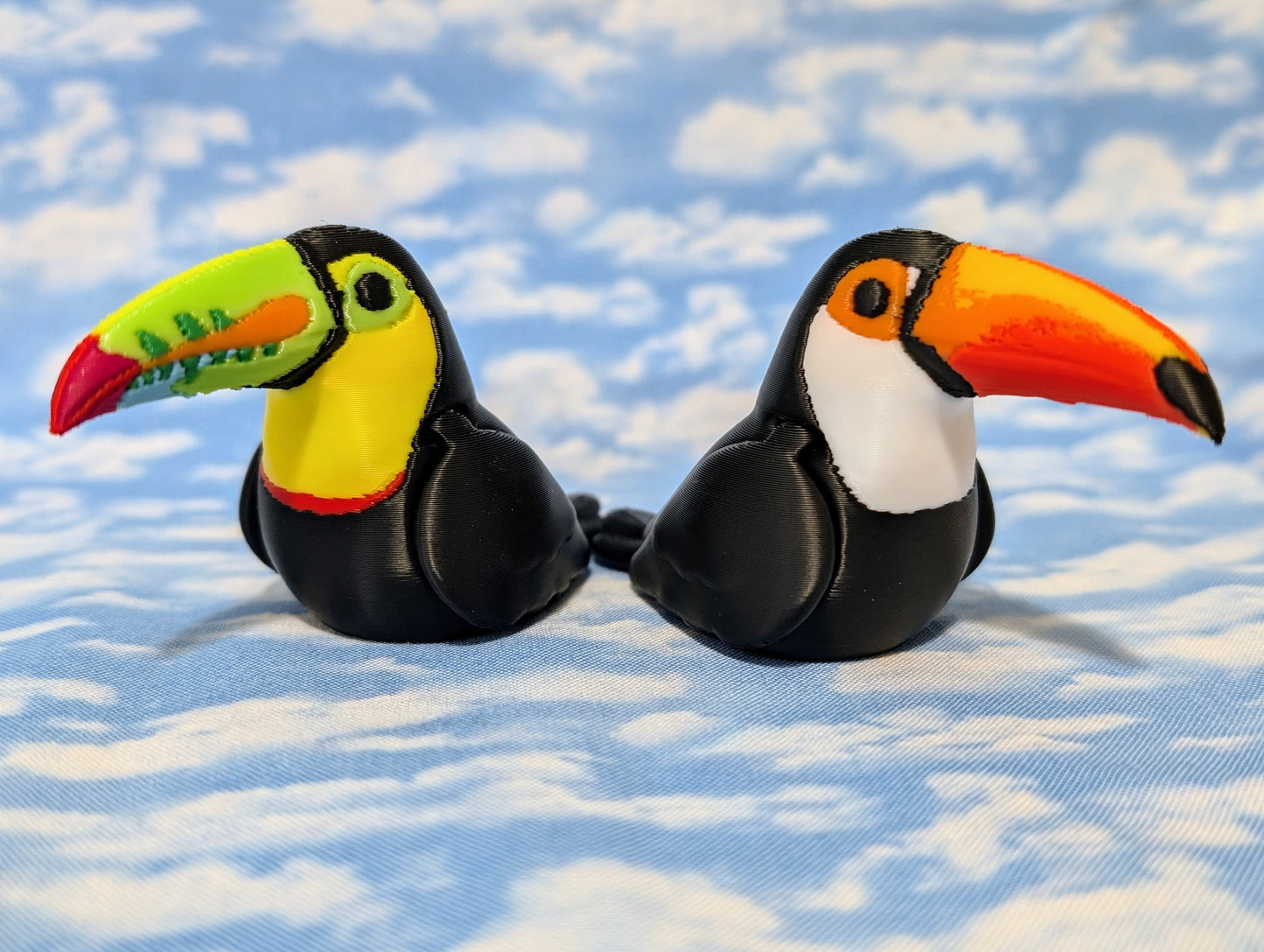Toucan