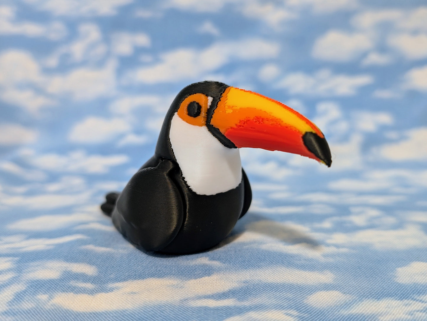 Toucan