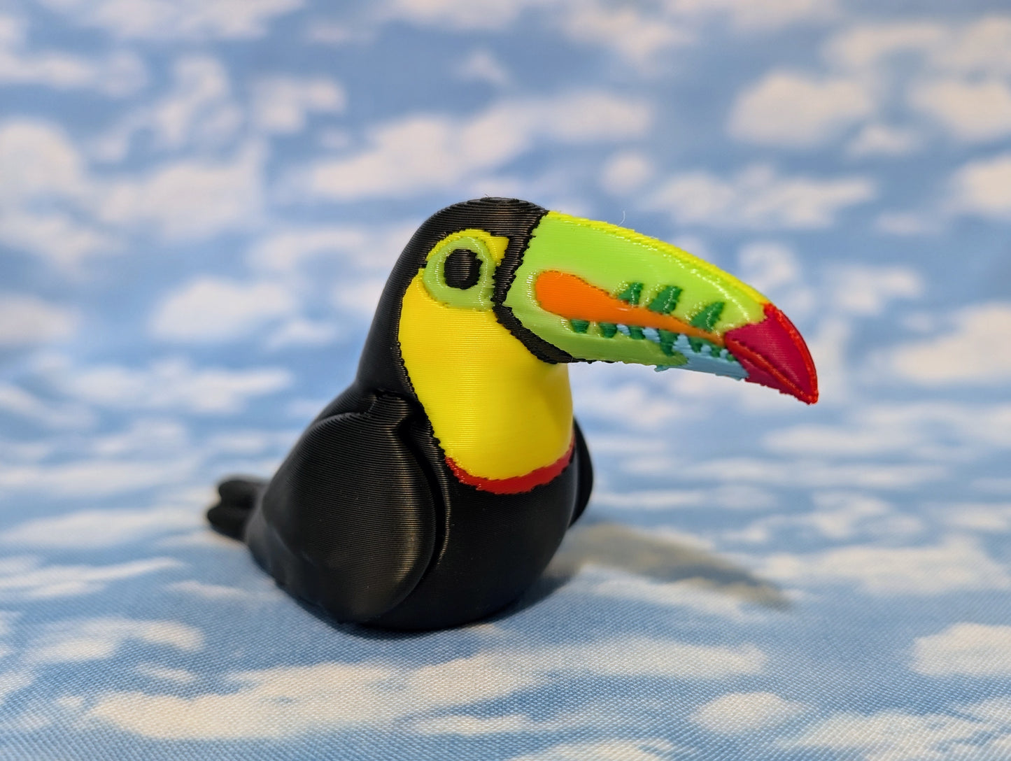 Toucan