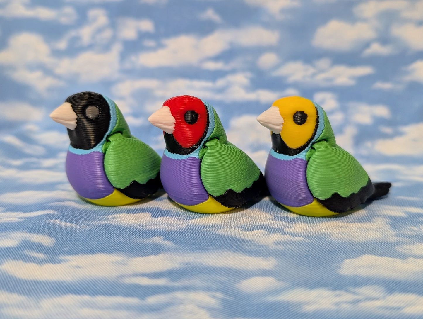 Gouldian finch
