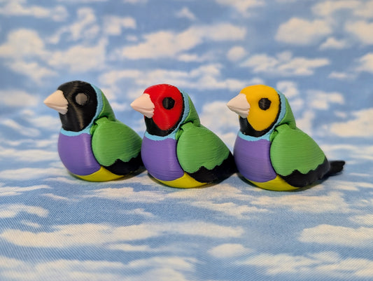 Gouldian finch