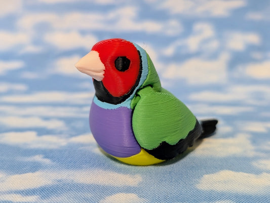 Gouldian finch