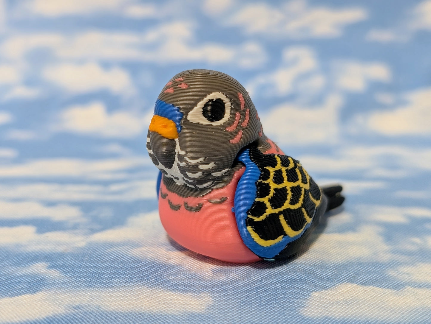 Bourke's Parrot