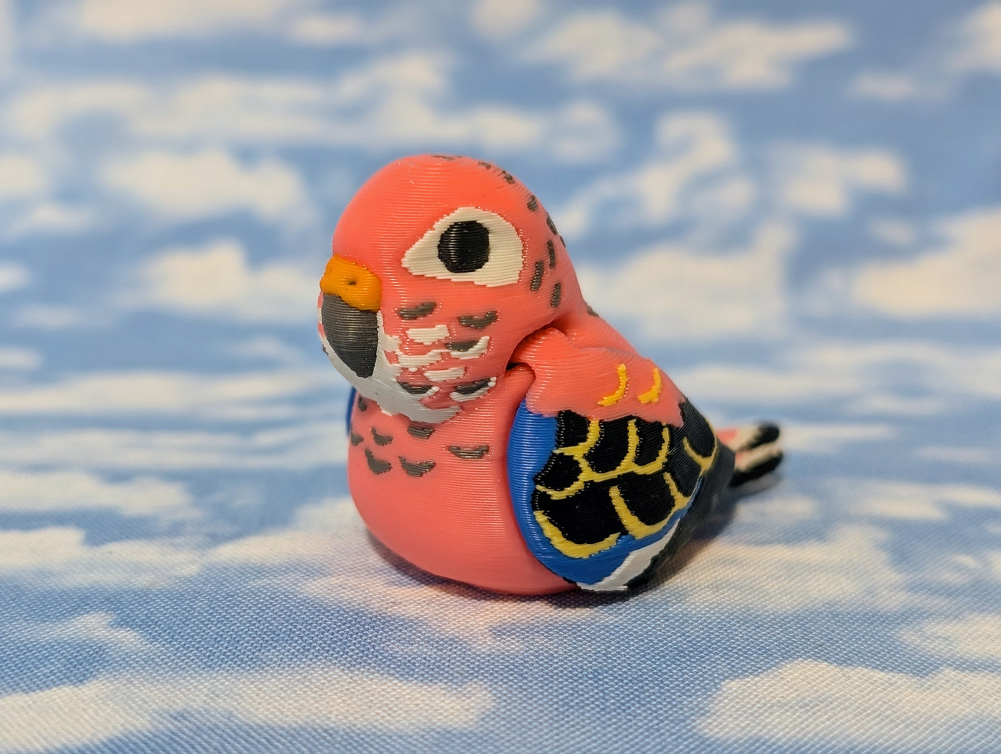Bourke's Parrot