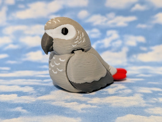 African grey parrot