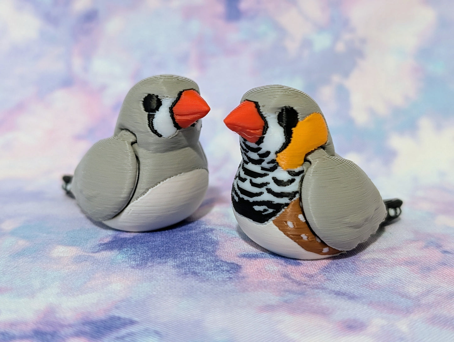 Zebra finch