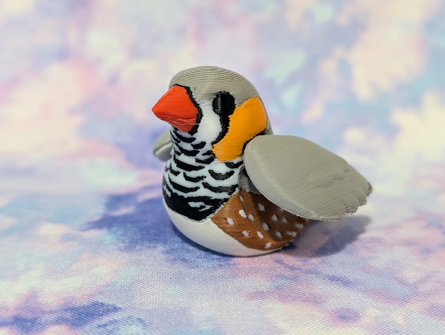 Zebra finch