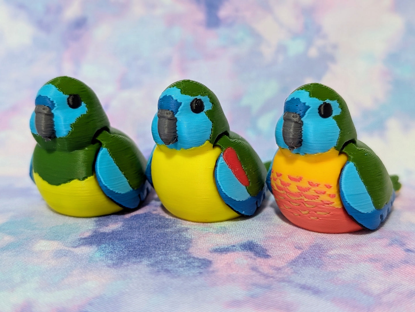 Turquoise Parrot