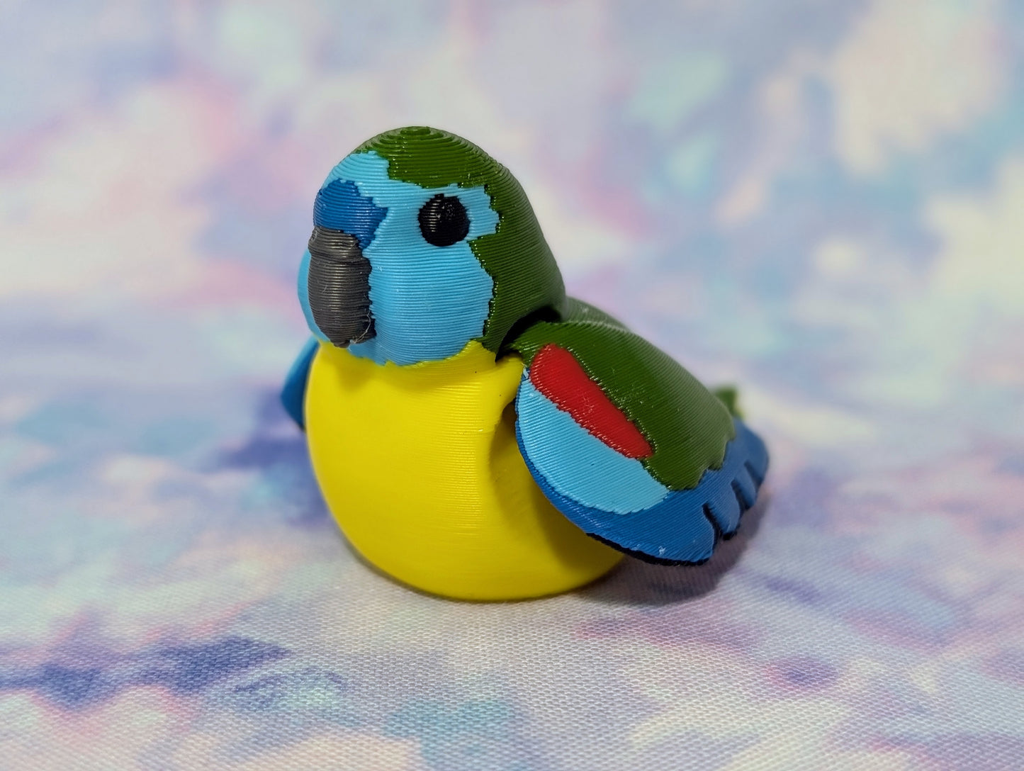 Turquoise Parrot