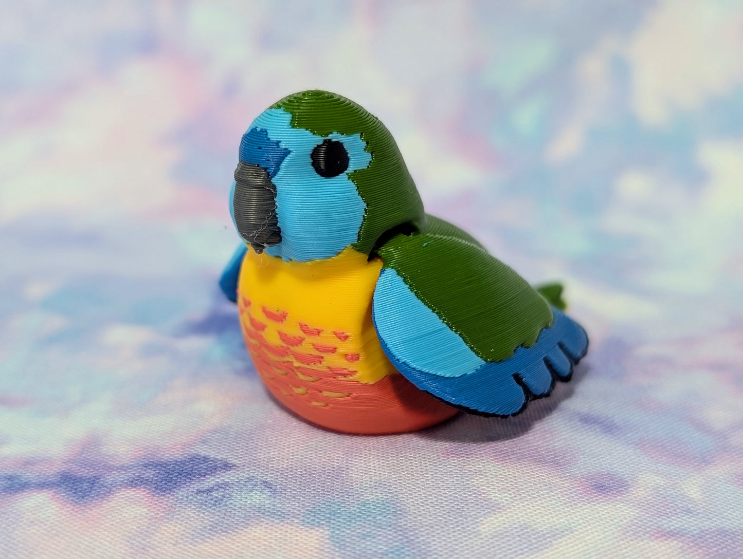 Turquoise Parrot