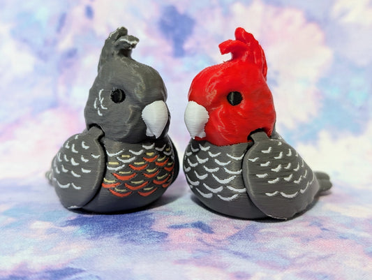 Gang Gang cockatoo
