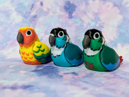 Conures