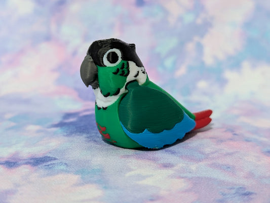 Conures