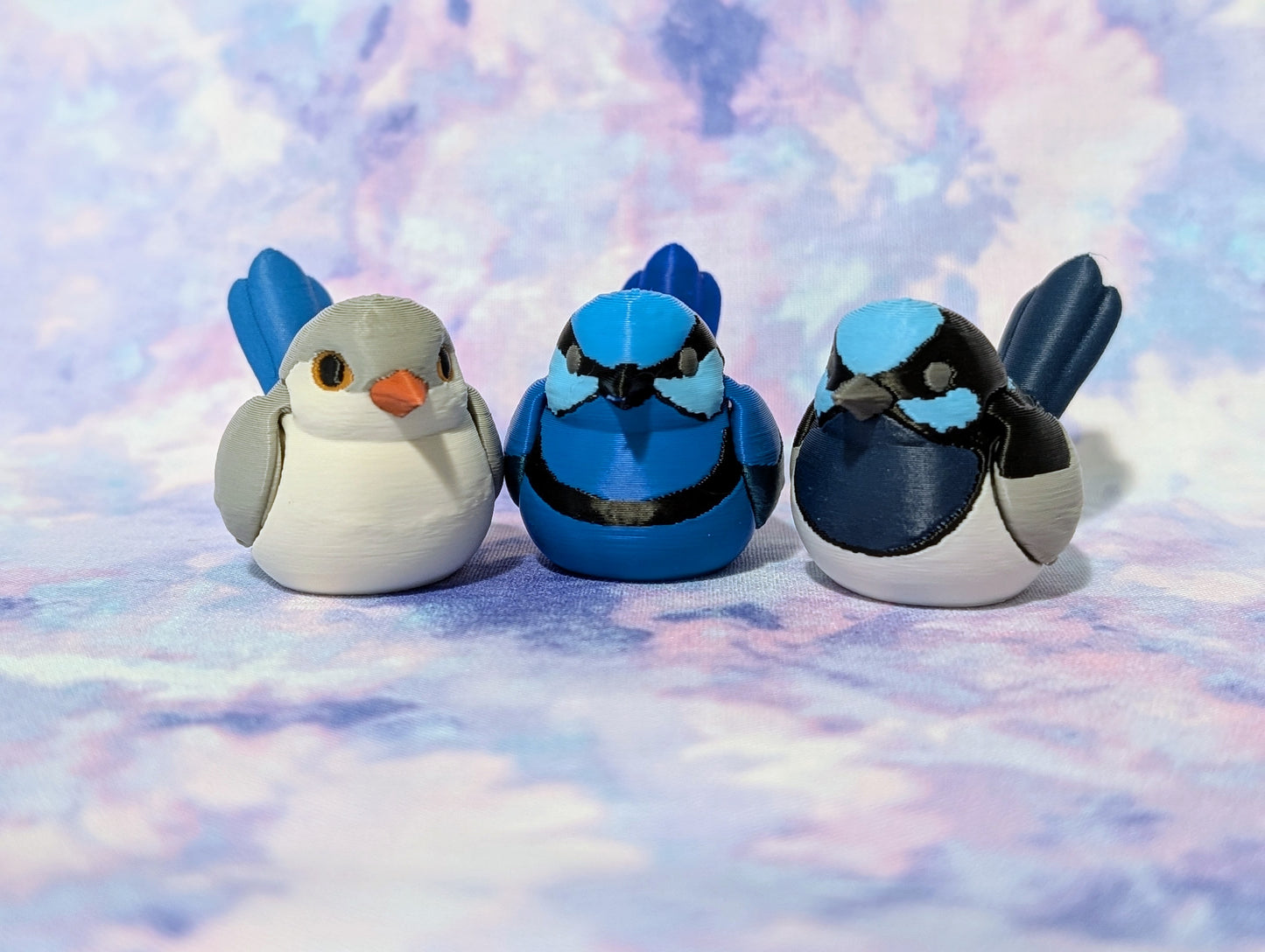 Fairy Wren