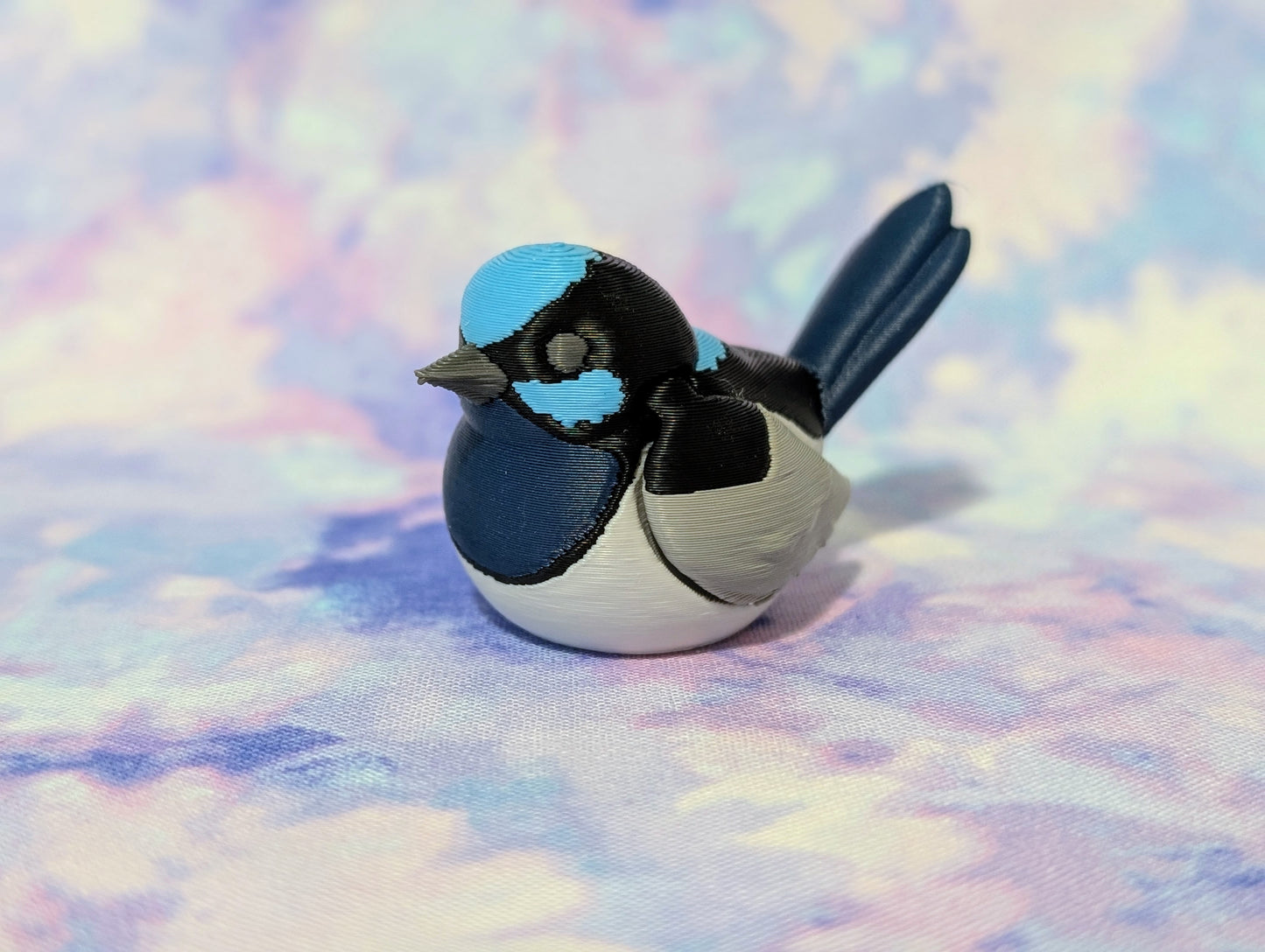 Fairy Wren