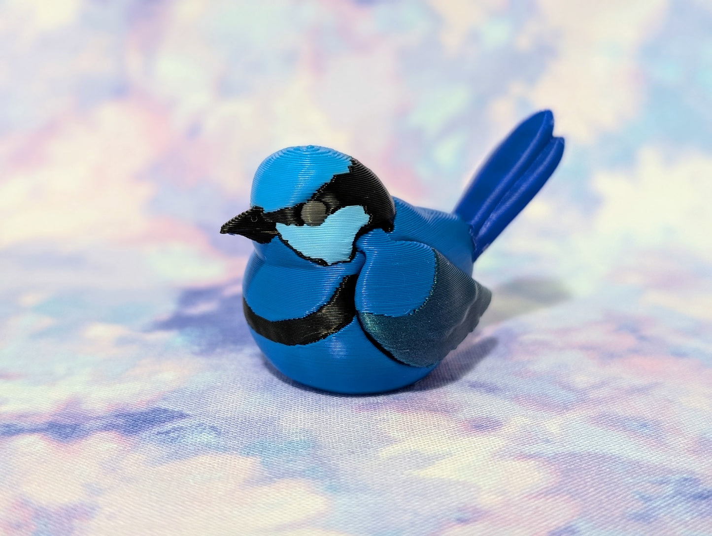 Fairy Wren