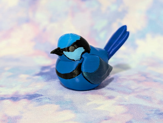 Fairy Wren