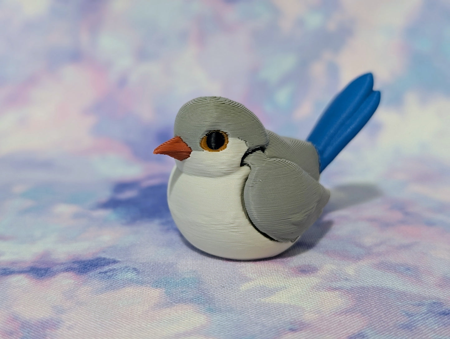 Fairy Wren