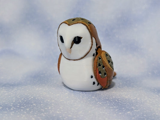 Barn Owl