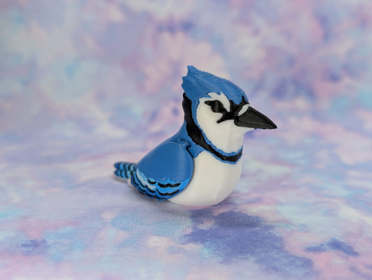 Blue Jay