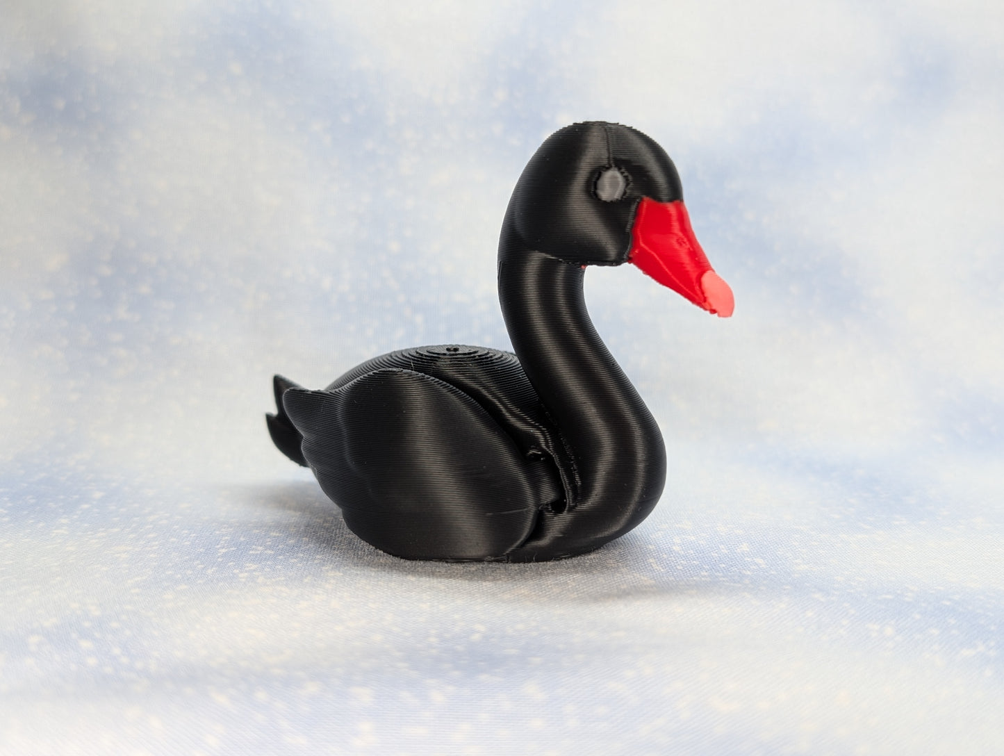 Swan