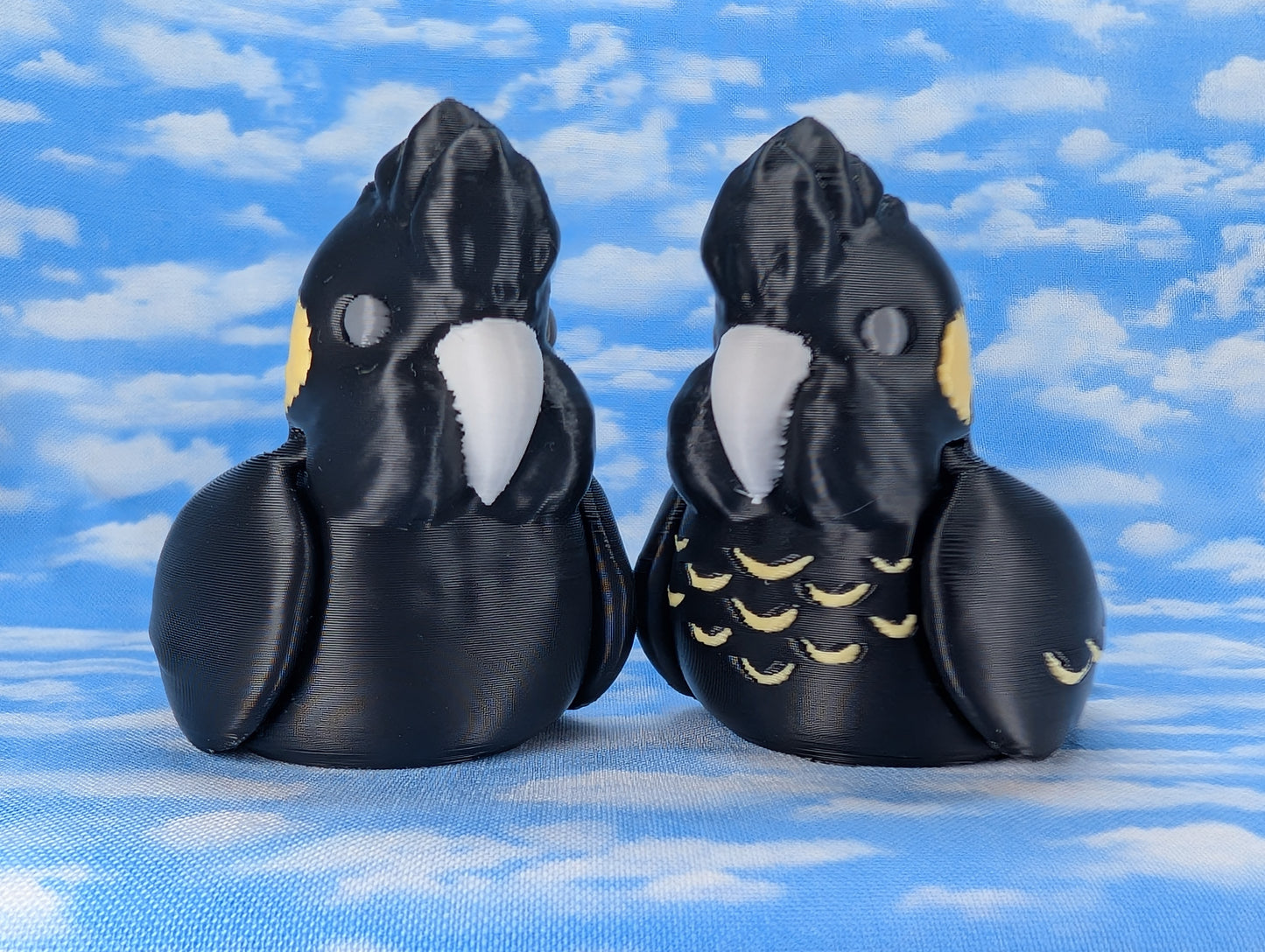 Yellow Tailed Black Cockatoo
