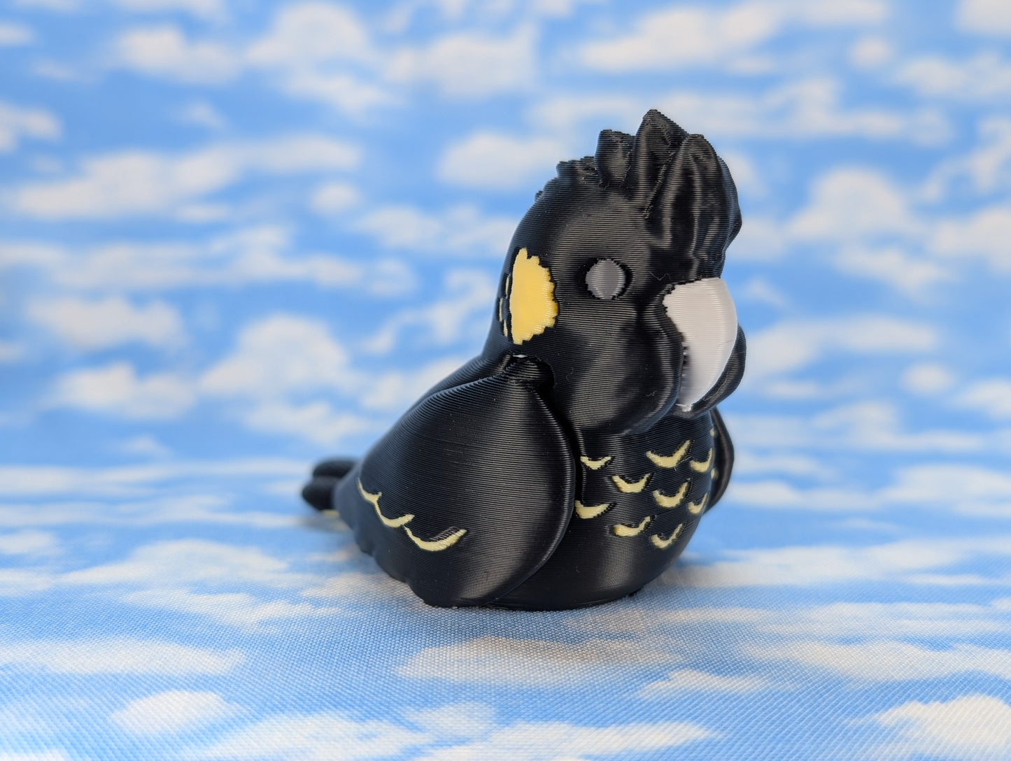 Yellow Tailed Black Cockatoo