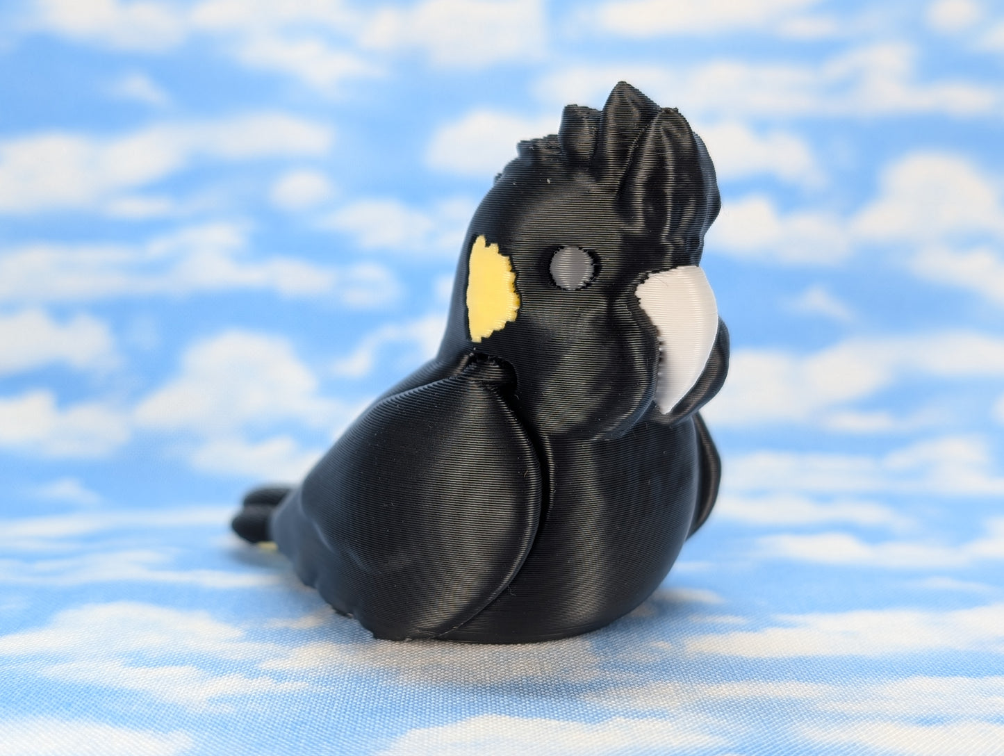 Yellow Tailed Black Cockatoo