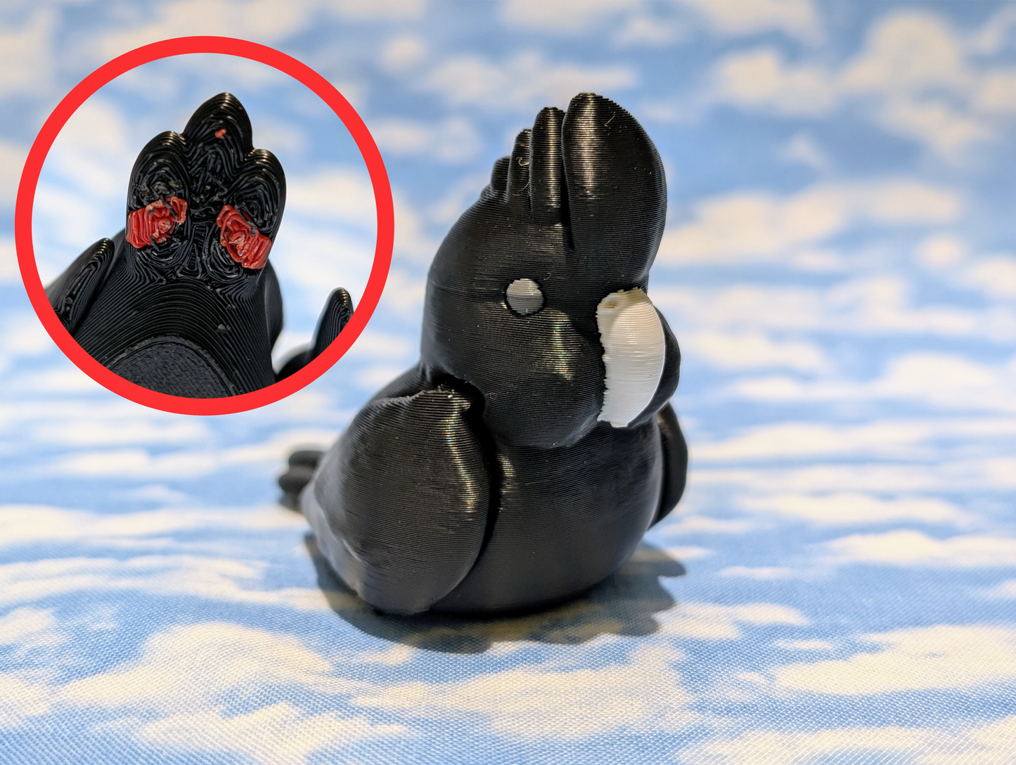 Red Tailed Black Cockatoo